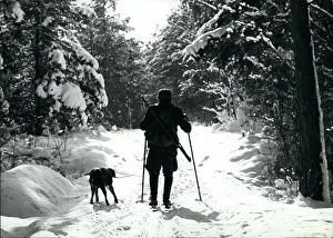 Snowed: Bobsledding - Skating - Skiing - Figure Skating