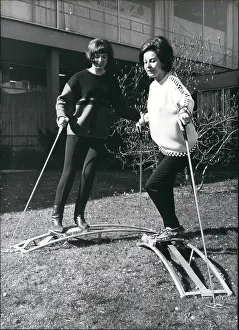 Beginners: Bobsledding - Skating - Skiing - Figure Skating