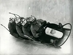 Bobsled: Bobsledding - Skating - Skiing - Figure Skating
