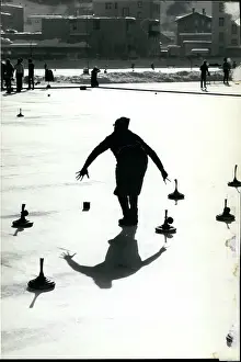 Disks: Bobsledding - Skating - Skiing - Figure Skating