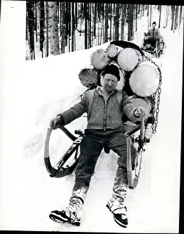 Easier: Bobsledding - Skating - Skiing - Figure Skating
