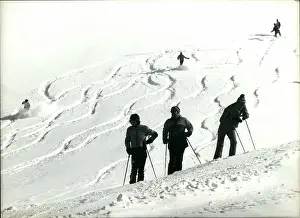 Marvelous: Bobsledding - Skating - Skiing - Figure Skating