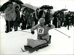 Swill: Bobsledding - Skating - Skiing - Figure Skating