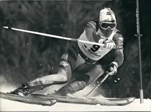 Downhill: Bobsledding - Skating - Skiing - Figure Skating