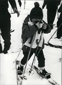 Beatings: Bobsledding - Skating - Skiing - Figure Skating