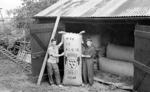 Bodiam: Bodiam, Hop Packing 1957