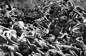 Emaciated: Bodies of deceased concentration camp inmates, ?