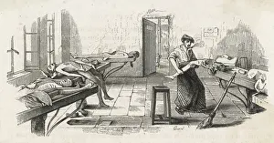 Dissection: BODIES FOR DISSECTION