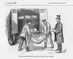 Dissecting: BODIES FOR DISSECTION