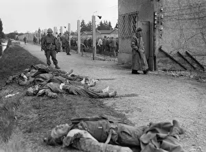 Lcgr1509: Bodies of former SS guards lie on the bank of a