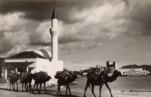 Cami: Bodrum, Turkey - Camel Train, Mosque and Castle