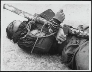 Terrorism: Body of a Malayan Terrorist trussed to a stake