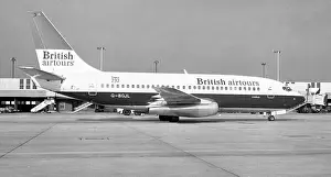 Goldfinch: Boeing 737-236 G-BGJL
