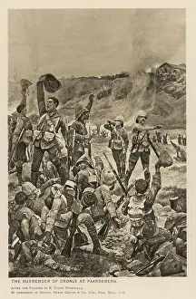 Bugler: BOER/CRONJE SURRENDERS