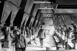 Execute: Bogdanovich feed mill