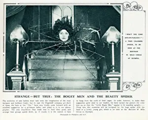 Bogey: The Bogey Men and the Beauty Spider