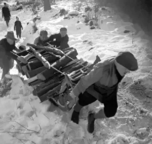 Loggers: Bohemian Forest - firewood