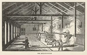 Antigua: Boiling the Sugar