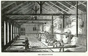 Antigua: Boiling the Sugar