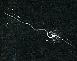 Exploded: Bolide meteorite with lance-like antenna