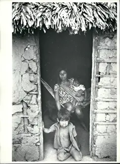 Grosso: Bolivia - Brazil
