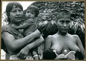 Amazonas: Bolivia - Brazil