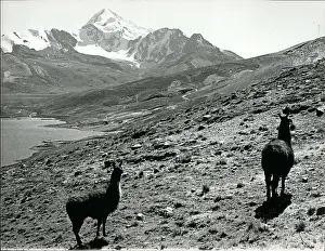 Potosi: Bolivia - Brazil