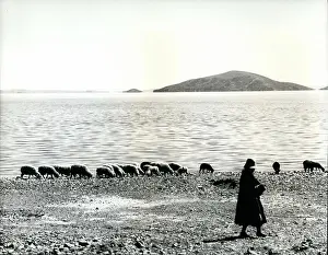 Seclusion: Bolivia - Brazil