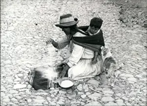 Fertile: Bolivia - Brazil