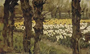 Koster: Bollenveldenn (Bulb Field)