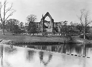 Wharfe: BOLTON ABBEY