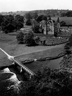Wharfe: BOLTON ABBEY