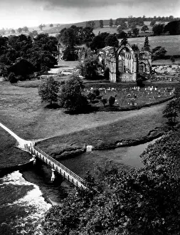 Wharfe: BOLTON ABBEY