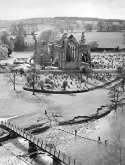 Wharfe: BOLTON ABBEY