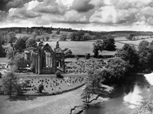 Wharfe: BOLTON ABBEY