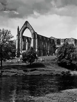 Wharfe: BOLTON ABBEY