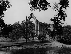 Wharfe: BOLTON ABBEY