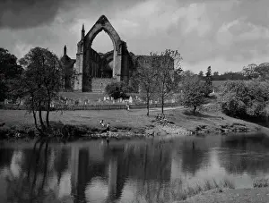Wharfe: BOLTON ABBEY