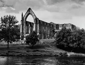 Wharfe: BOLTON ABBEY