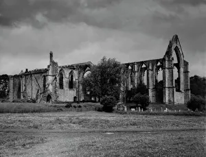 Wharfe: BOLTON ABBEY