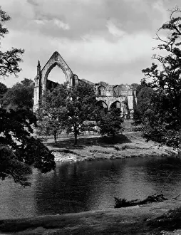 Wharfe: BOLTON ABBEY
