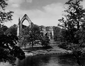 Wharfe: BOLTON ABBEY