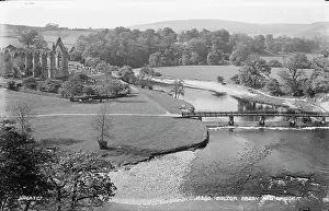 Cows: Bolton Abbey and Bridge