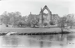 Bolton: Bolton Abbey Ruins