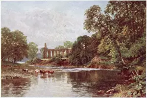 Wharfe: BOLTON ABBEY/WHARFE/1909