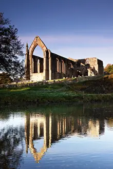 Wharfe: Bolton Abbey, Yorkshire