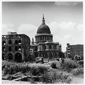 Fated: BOMB DAMAGED ST PAUL'S