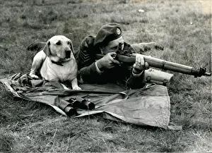 Bisley: Bombs - Guns - Weapons