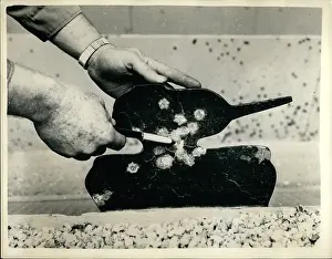 Friedberg: Bombs - Guns - Weapons