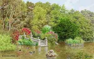 Bonchurch: Bonchurch Pond, Isle of Wight